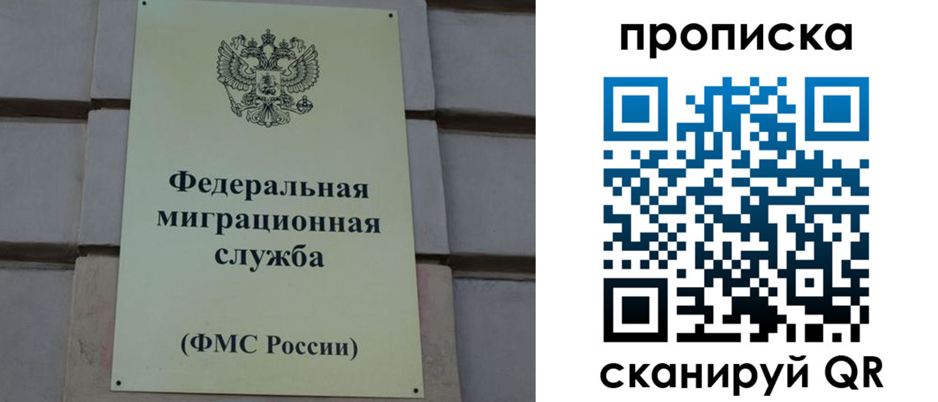 прописка поиск в Бавлах